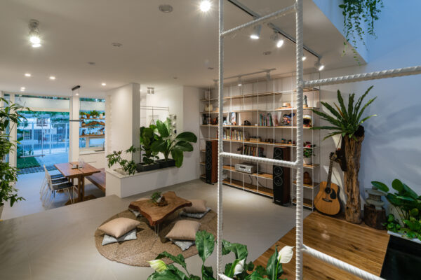 Thêm Cây Cối Trang Trí Trong Nhà