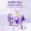 VIÊN GIẶT XẢ HƯƠNG NƯỚC HOA GRAPFRUIT X 80v X 800g